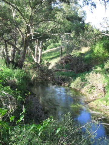 Jacksons Creek, Bulla